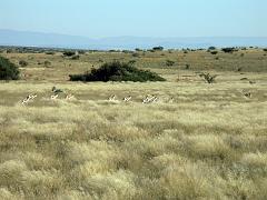 090509_South_Africa 192